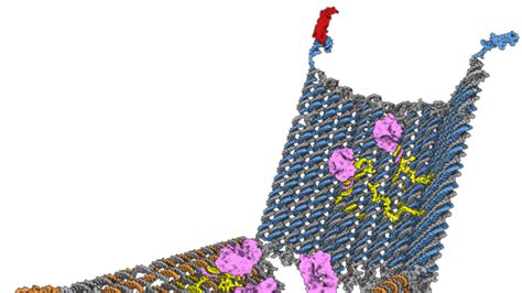 Shawn Douglas Of The Wyss Institute Develops Cancer Fighting Nanorobots