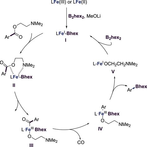 Iron Catalyzed Decarbonylative Borylation Enables The One Pot