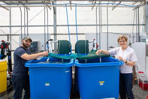 Blue Innovation Ucsc Kapuscinski Sarker Lab Group — Santa Cruz Works
