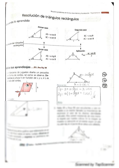 SOLUTION Resoluci N De Tri Ngulos Rect Ngulos Corefo Studypool