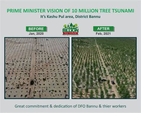 From Barren Landscapes To Thriving Ecosystems Pakistans Billion Tree