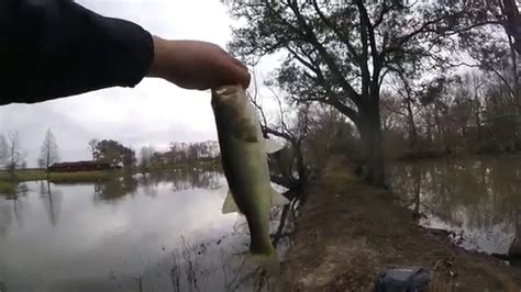 Great Day Of Cold Weather Bass Fishing YouTube