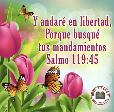 Pin En Citas Biblicas