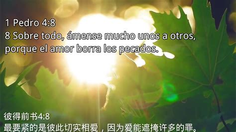 Lee La Biblia En Chino Conmigo 西语读圣经） Youtube