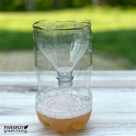 Easy DIY Wasp Trap - Five Spot Green Living