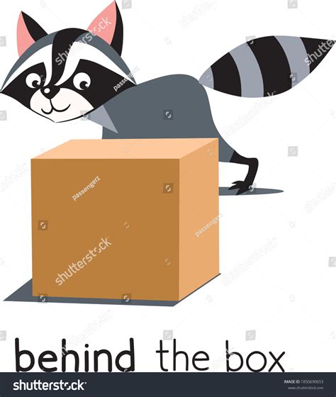 Preposition Place Raccoon Behind Box Stock Vector Royalty Free 1850690653 Shutterstock