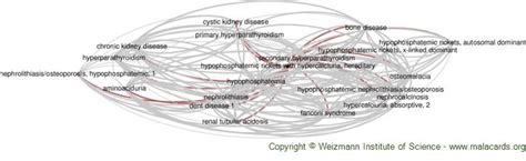 Hypophosphatemic Rickets With Hypercalciuria Hereditary Disease