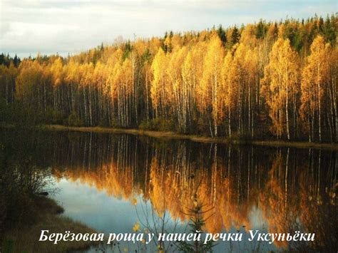 Береза, берёзка, берёзонька - презентация онлайн