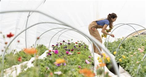 全国の花き生産者を応援するフラワーイベントを開催。国産の花をふんだんに使用したイベントで、フラワーロスの軽減と花の需要拡大を図る