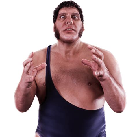 All Andre The Giant Wrestling Action Figures Wrestling Figure Database