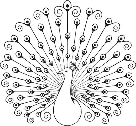 Aggregate More Than 192 Peacock Drawing Outline Best Nanoginkgobiloba Vn