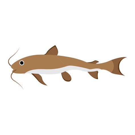 Sagor Catfish Catfish Brown Catfish Fish PNG And Vector With