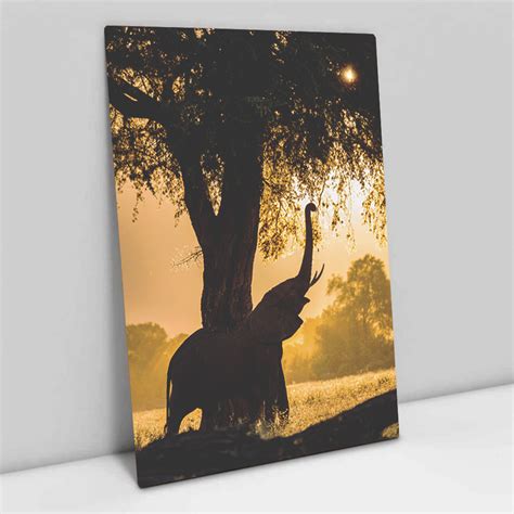 Quadro Decorativo Elefante e a Árvore ao Amanhecer em tela Canvas