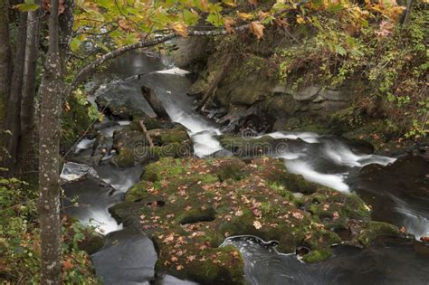 Whatcom Creek and Bridge at Whatcom Falls Park in Bellingham Washington ...