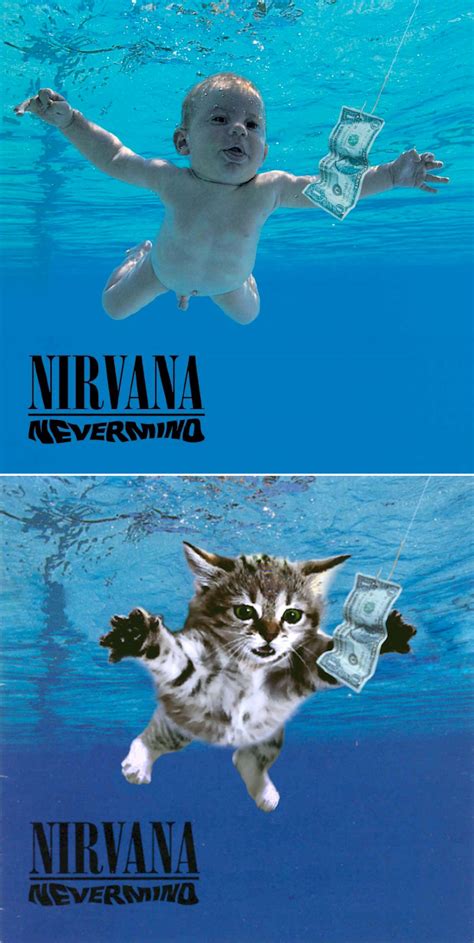 20 Famous Album Covers Reimagined With Kitten Charm Barnorama