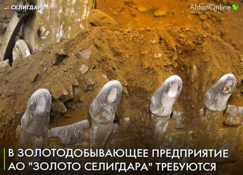 В золотодобывающее предприятие АО "Золото Селигдара" г. Алдан ...