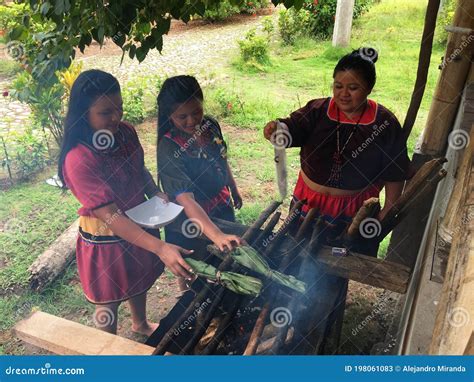 Grupo De Mujeres Ind Genas De Nacionalidad Cofan Cocinando Maitos Fuera