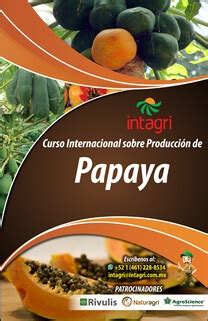 Curso Virtual sobre Producción de Papaya Inicio Intagri S C