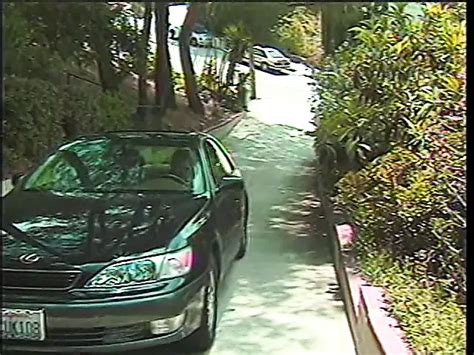 Tempting Brunette Babe Gets Her Pussy Filled With Jizz Amateur Amateur Porn XHamster