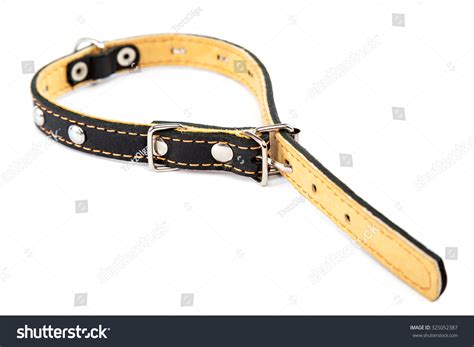 Leather Belt Collar Isolated On A White Background Stock Photo