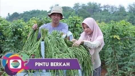 Nonton Sinema Pintu Berkah Petani Kacang Panjang Yang Hidupnya Selalu