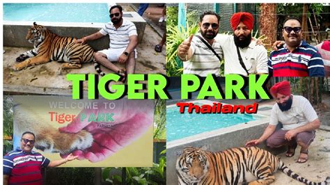 Tiger Park //Thailand//My New Vlog - YouTube