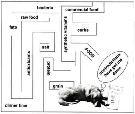 Diet for Dog Liver Shunt - Diet for Portosystemic Shunt in Dogs