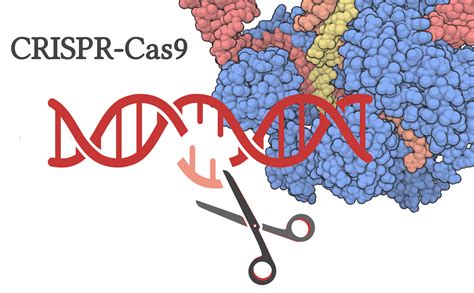 Crispr Cas9 Science Up