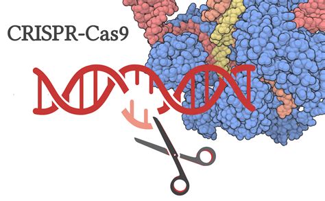 Crispr Cas9 Science Up