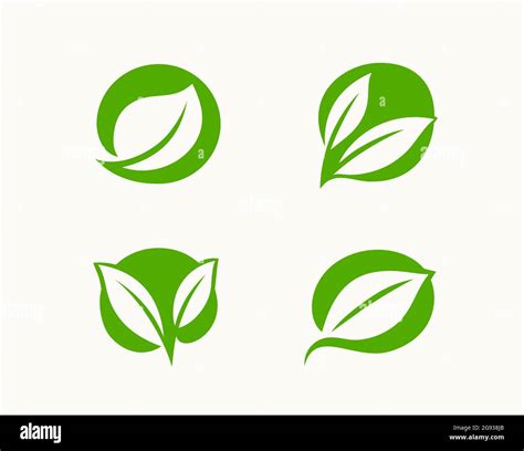 Icono ECO hoja verde Vector de símbolo orgánico Imagen Vector de stock