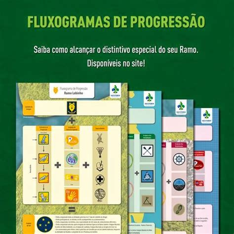 56º Grupo Escoteiro São Sebastião Fluxograma de Progressão