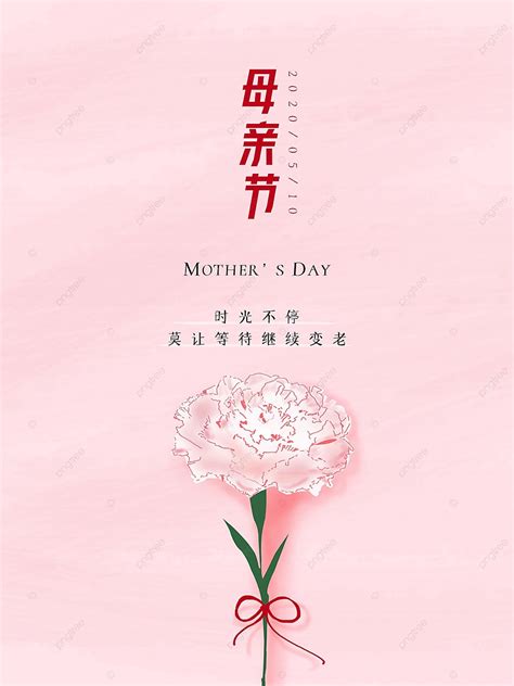 Mother S Day Carnation Pink Background Time Mother S Day Carnation