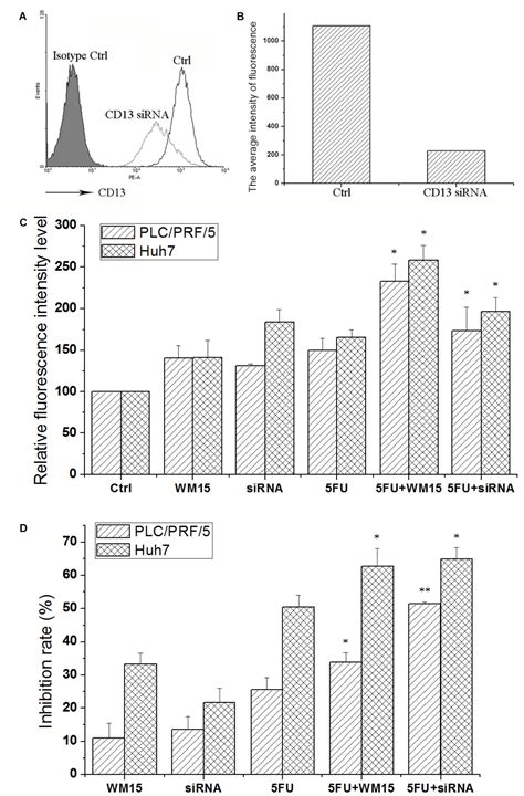 Frontiers Cd Inhibition Enhances Cytotoxic Effect Of Chemotherapy