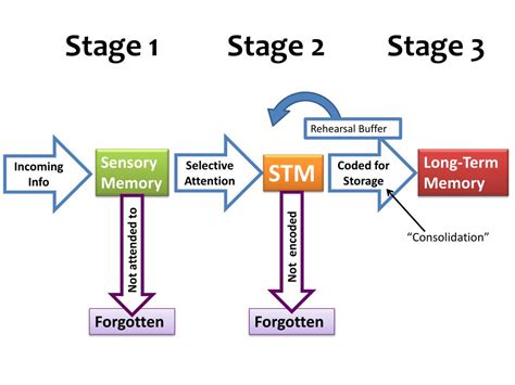 Ppt Memory Powerpoint Presentation Free Download Id2768162