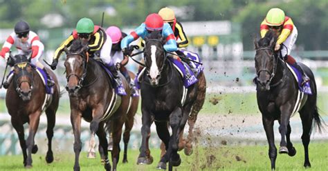 【新馬戦 出走予定馬】2024年6月22日・23日 予定馬一覧｜しずくの新馬戦予想🐴