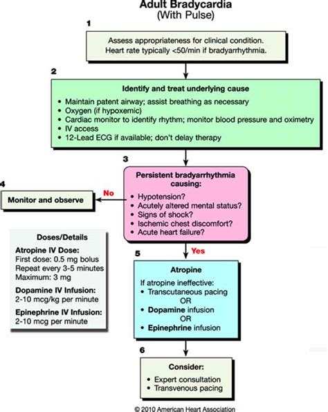 Reflex Bradycardia with Atropine | EMTLIFE