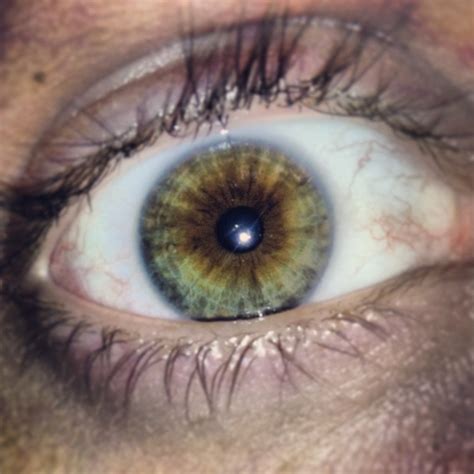 So I heard you guys like multi colored eyes : eyes