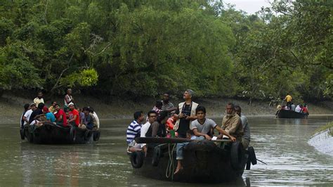 Kaziranga National Park - History, Location, Details, Ticket Price ...