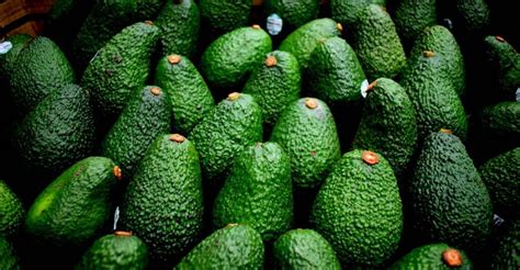 Per Increment Producci N Nacional De Palta En En Agosto