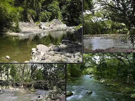 At The Heart Of Zamboanga Citys Vast Forest Is The Pasonanca Natural