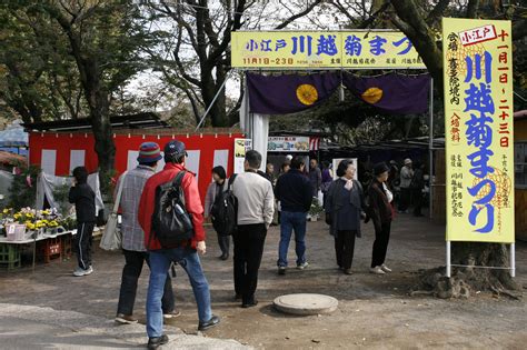 小江戸川越菊まつり｜行事・イベント情報｜小江戸川越ウェブ 小江戸川越観光協会