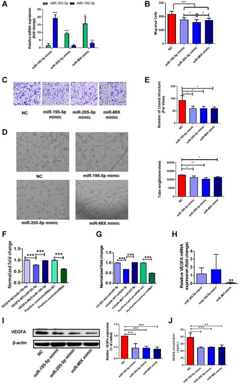 MiR 195 5p And MiR 205 5p In Extracellular Vesicles Isolated From