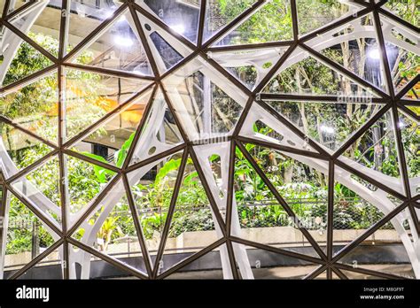 The Glass Dome Spheres At Amazon Headquarter At Night In Downtown