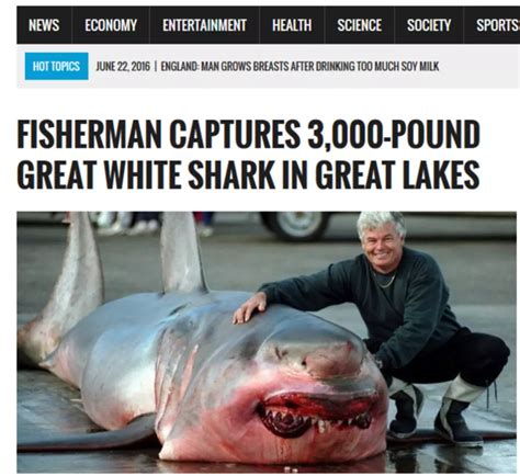 A 3,000 Pound Shark Caught in Lake Michigan? [PHOTOS]