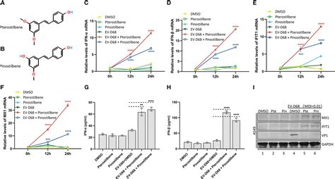 Frontiers Pterostilbene An Active Constituent Of Blueberries