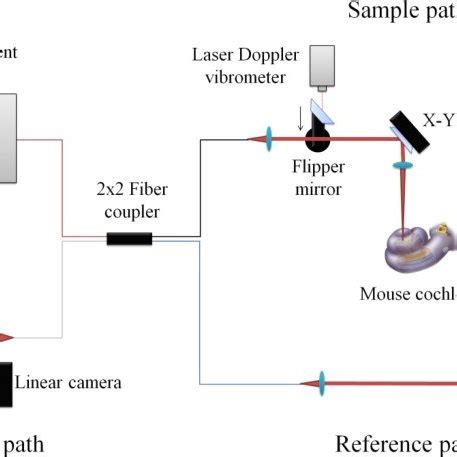 Schematic Of The Spectral Domain Oct System A Flipper Mirror Was Used