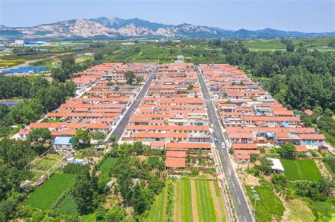 青岛西海岸张家楼街道开展农村人居环境整治，建设宜居宜业和美乡村 基层头条