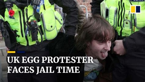 Uk Egg Protester Faces 6 Months Imprisonment After Narrowly Missing