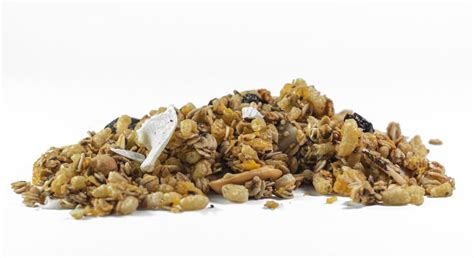 Granola Premium Sem Açúcar 500g Alquimya dos Cereais