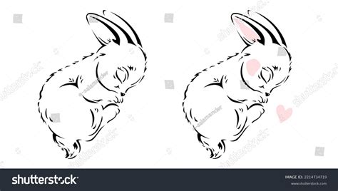 Cute Sleeping Rabbit Isolated On White Stock Vector Royalty Free